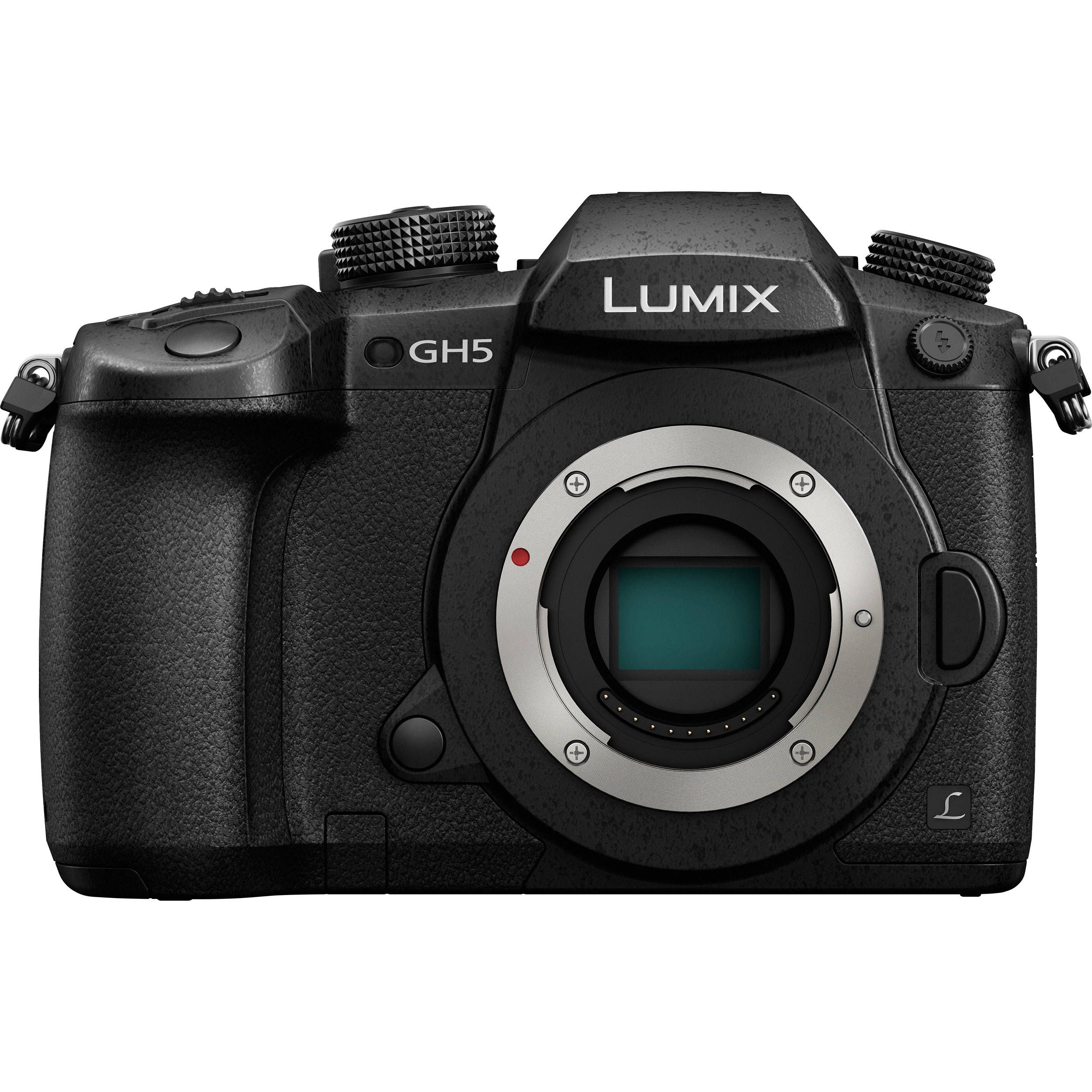Panasonic Lumix DC-GH5EG-K Body black