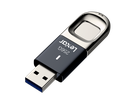 Lexar Fingerprint PRO F35 USB 3.2 256GB