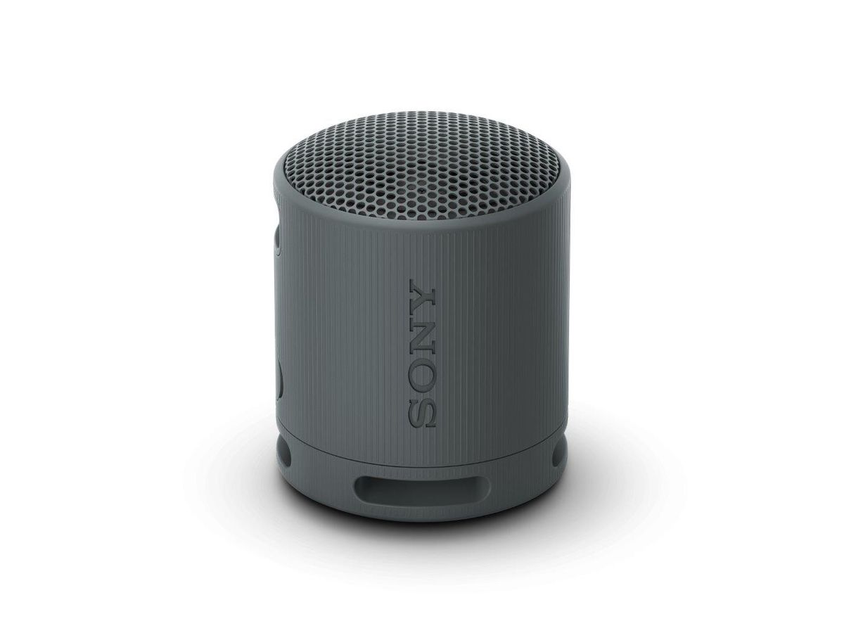 Sony SRS-XB100 Speaker Black