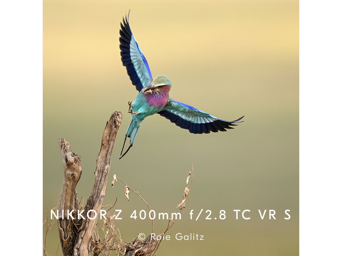 Nikkor Z 400mm f/2.8 S TC