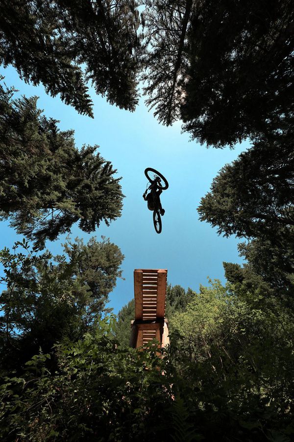 Canon EOS R6 Mark II Body