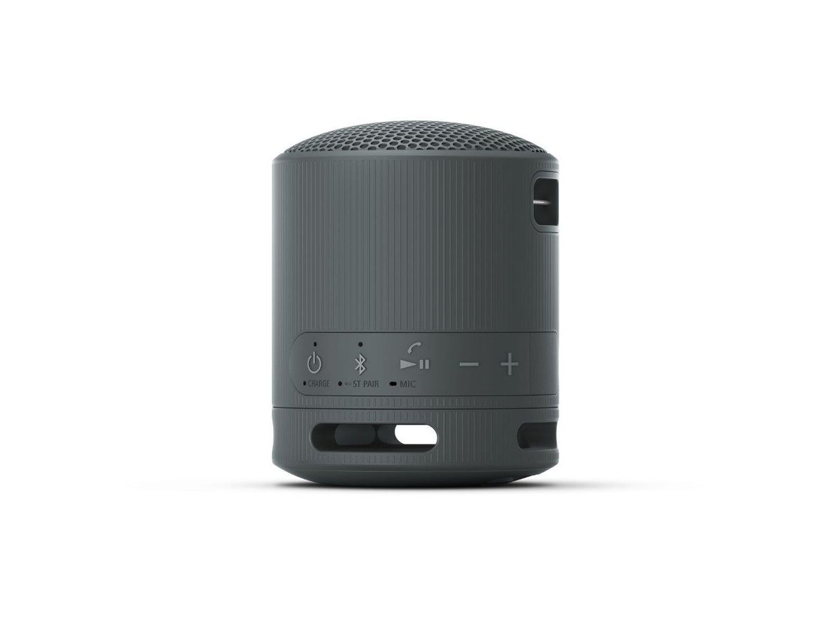 Sony SRS-XB100 Speaker Black
