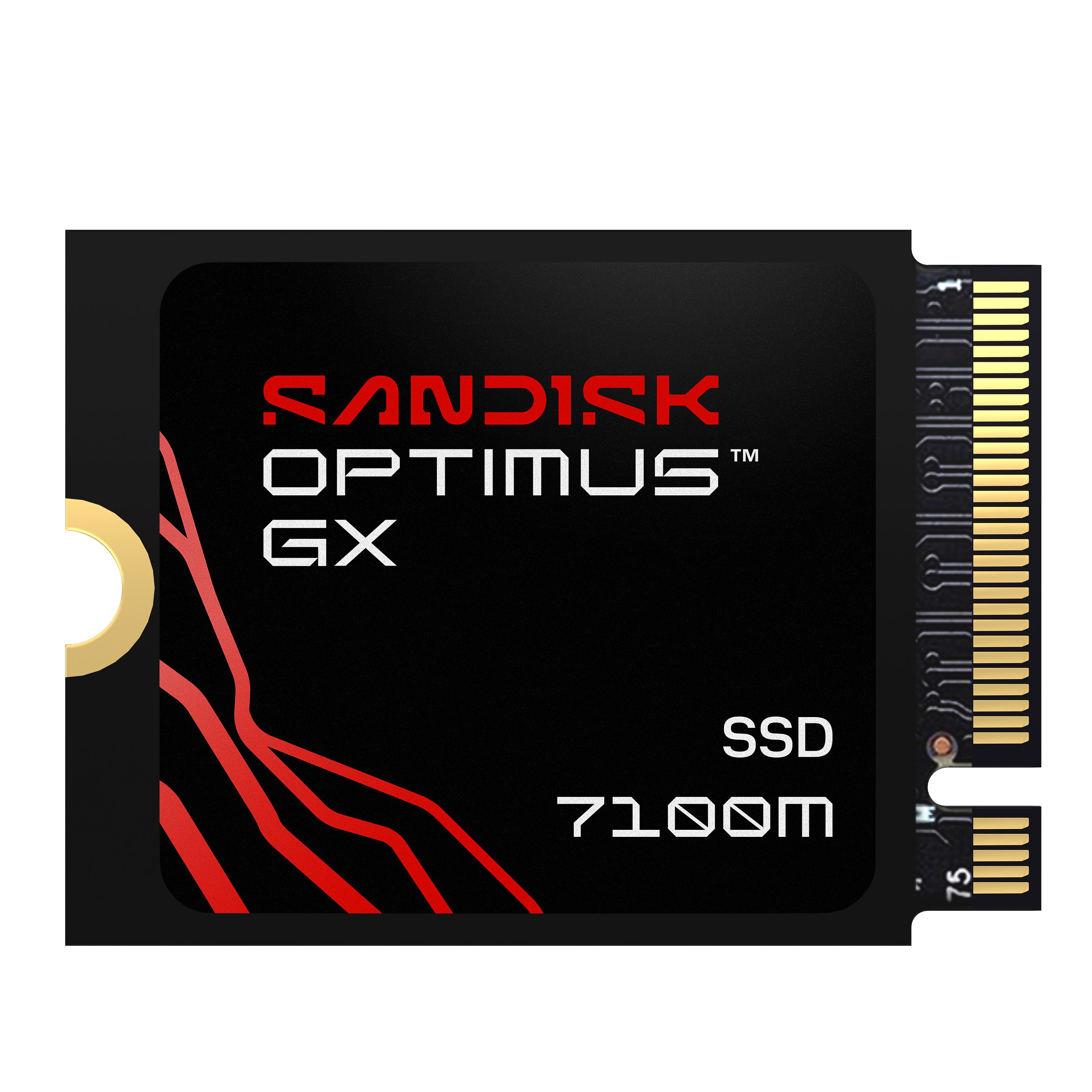SANDISK Optimus GX7100M NVMe SSD 2TB