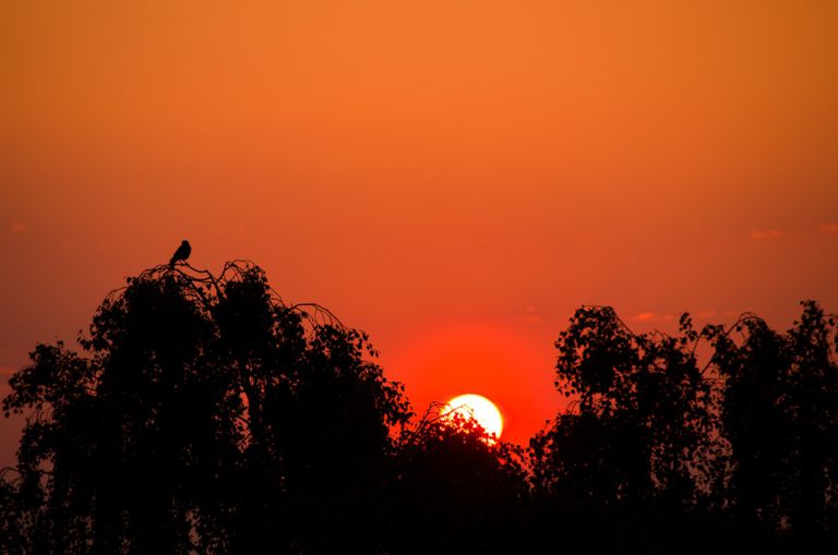 Pentax smc DA 50-200mm/4-5,6 ED WR