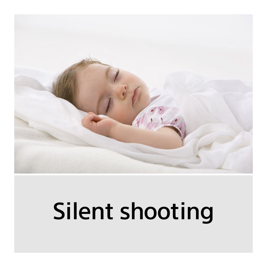 Sony Alpha 6100 Body black