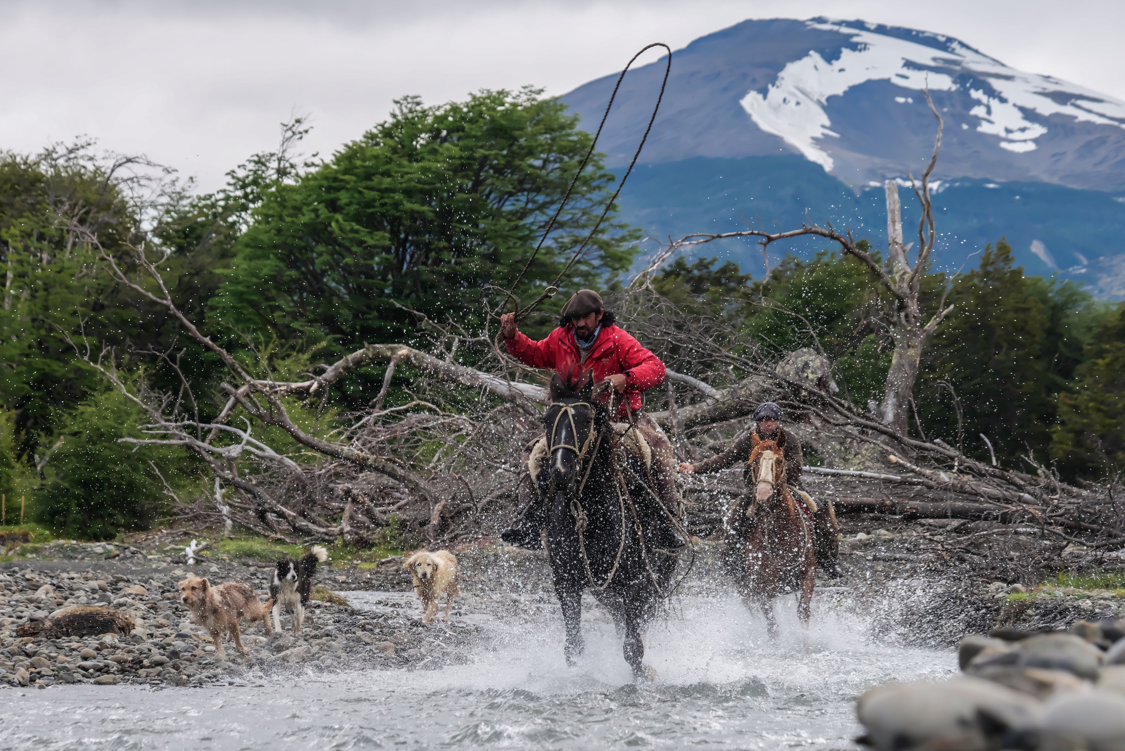 Panasonic Lumix S PRO 50mm F1.4