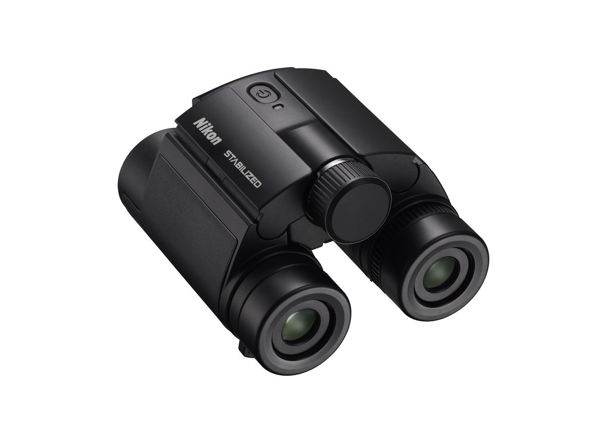 Nikon Fernglas Stabilized 10x25 S