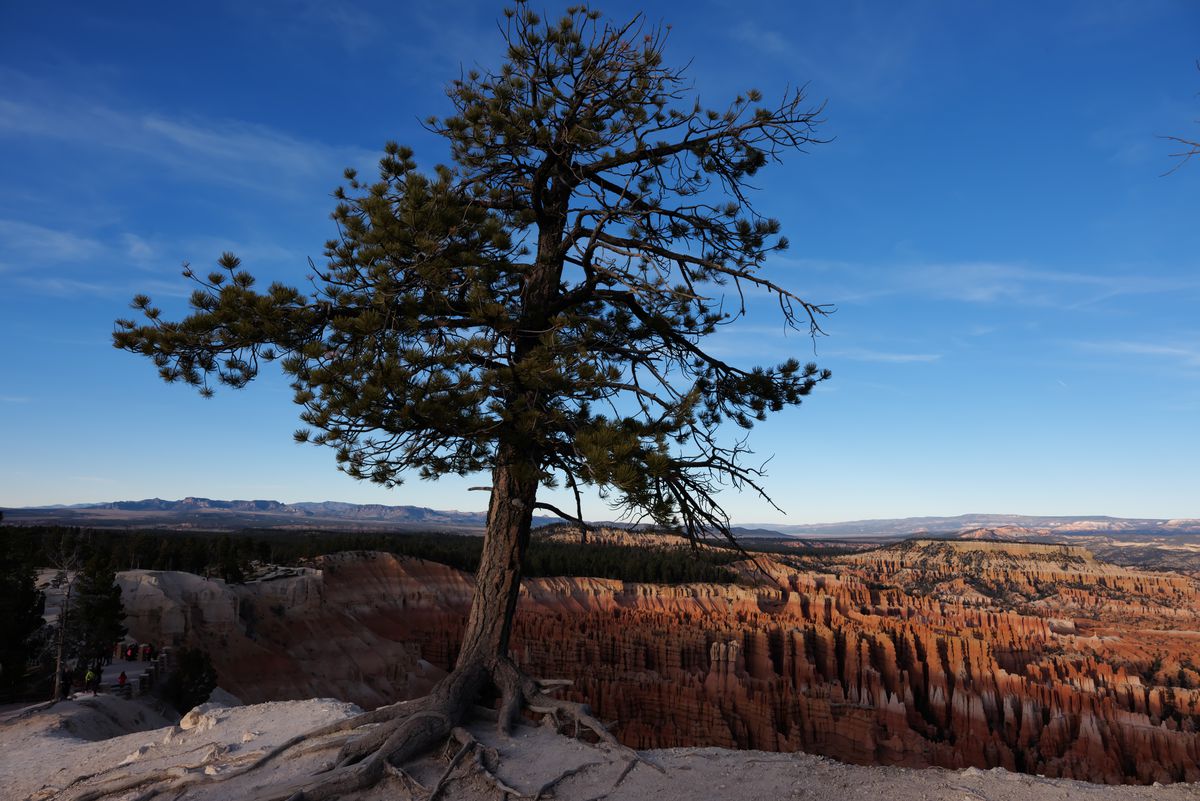 Panasonic Lumix S 24-105mm F4.0 Makro