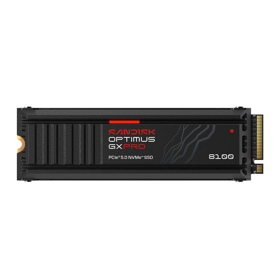SANDISK Optimus GX PRO 8100 SSD 1TB HS