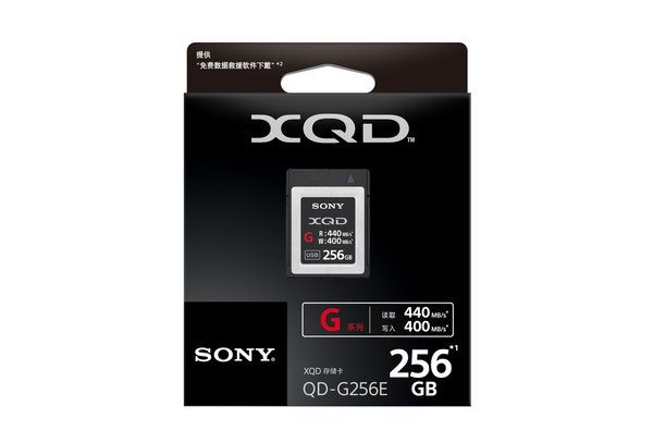 Sony XQD Card 256GB QDG256E-R - 440MB/s