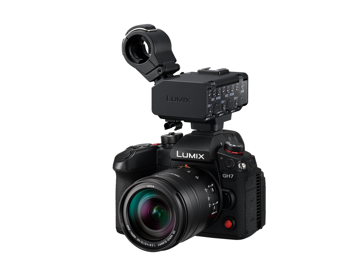 Panasonic DMW-XLR2E Video Interface