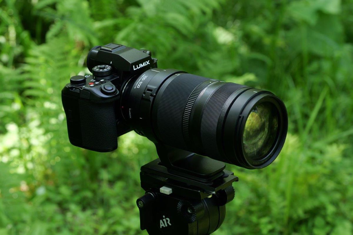 Panasonic Lumix S 100-500mm F5-7.1 OIS