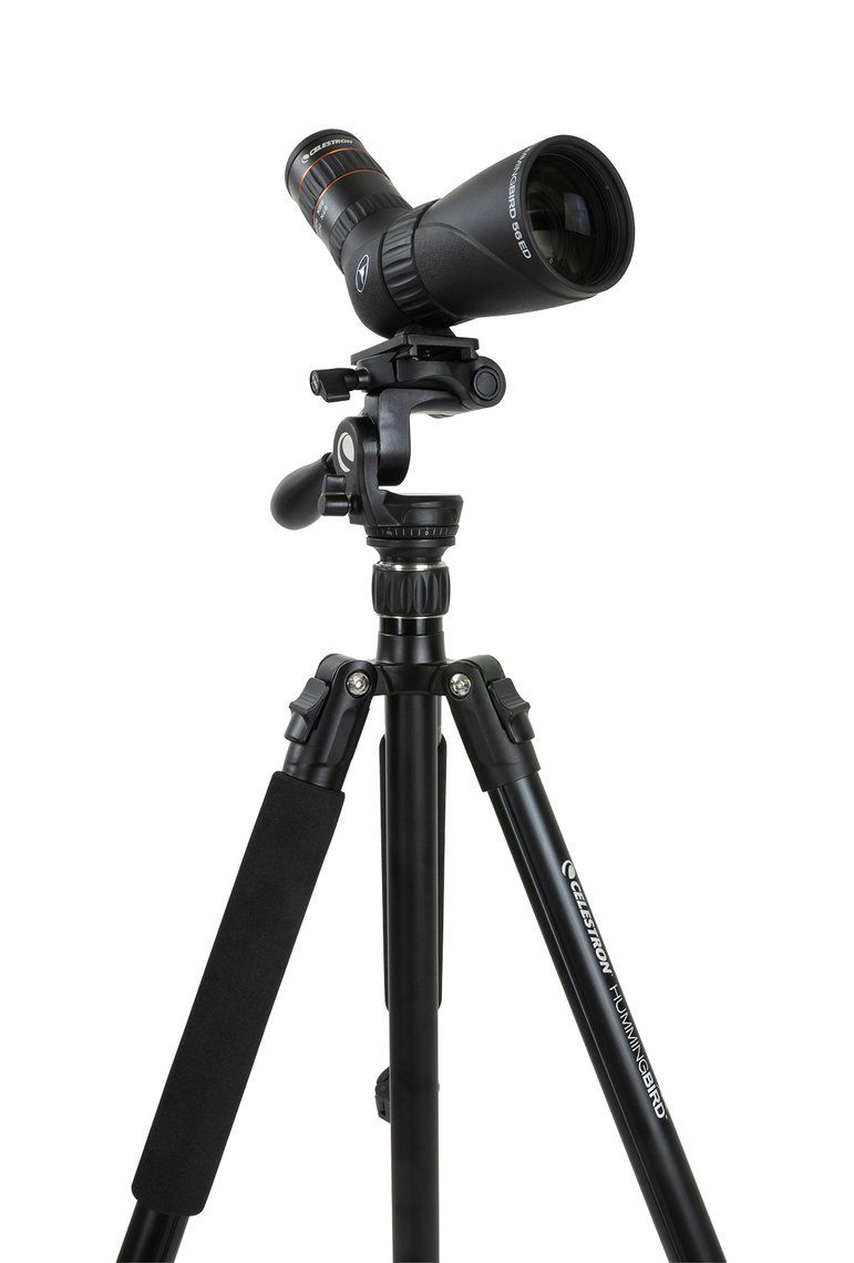 Celestron Stativ Hummingbird