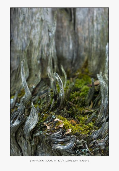 Pentax HD DA 35mm / 2,8 Macro black Limi