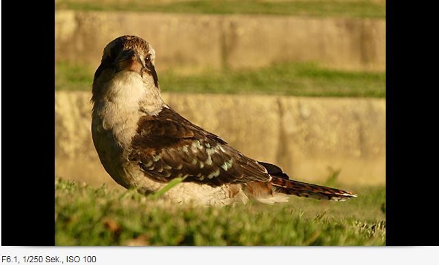 Panasonic DC-TZ91EG-K black