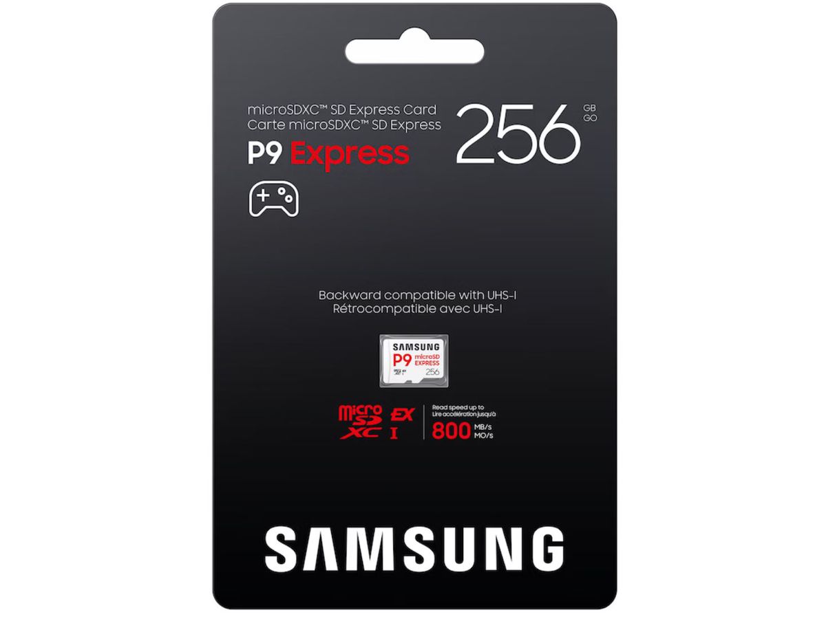 Samsung P9 microSDXC EX 800MB/s 256GB