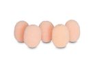 Rycote Lav Foam Beige - 5er Pack
