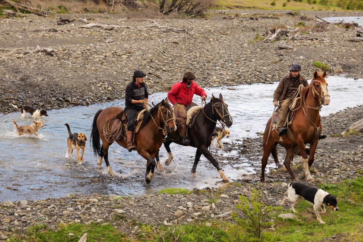 Panasonic Lumix S PRO 50mm F1.4