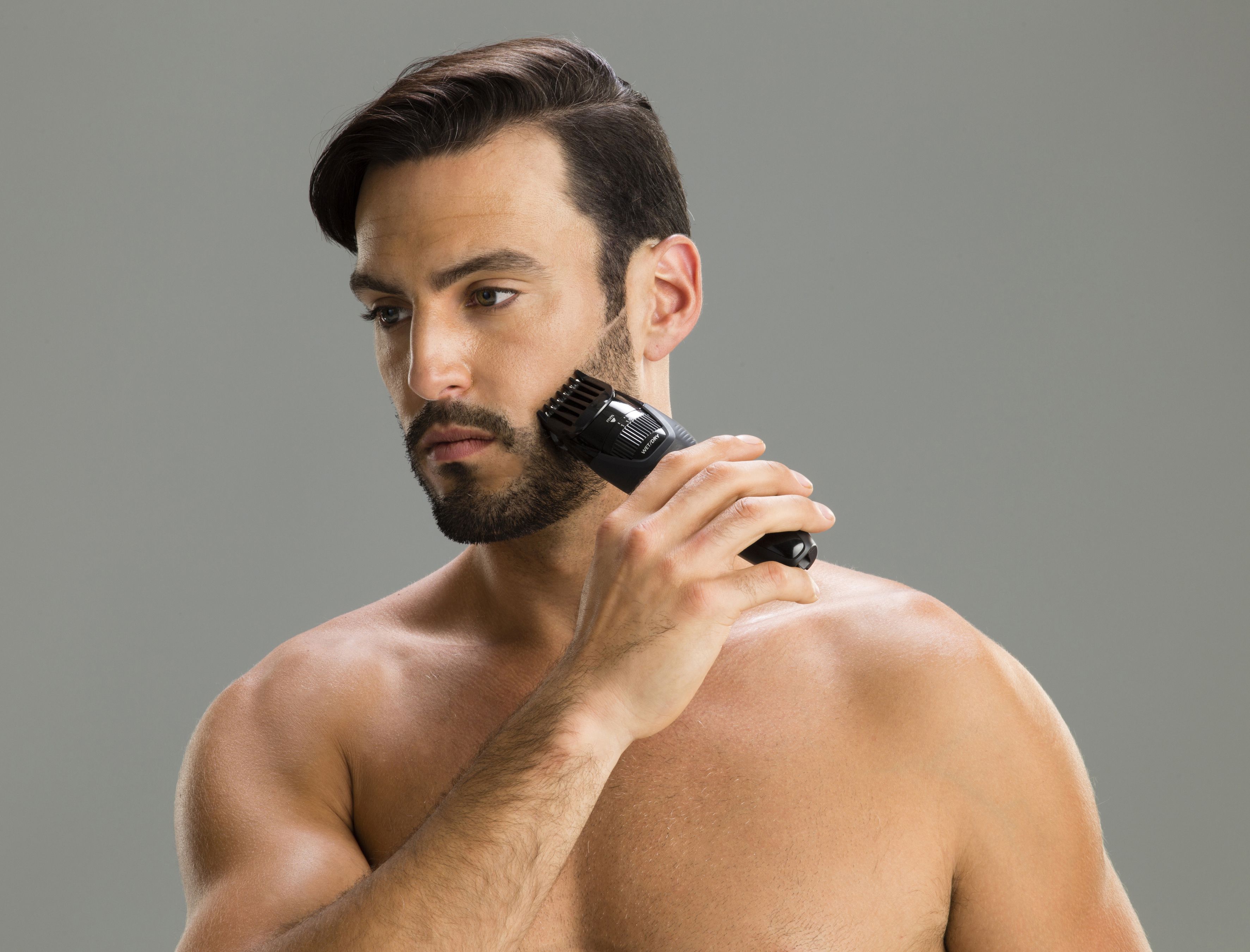 Panasonic Bartschneider Wet/Dry GB43