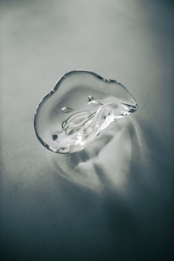 Canon RF 45mm F1.2 STM