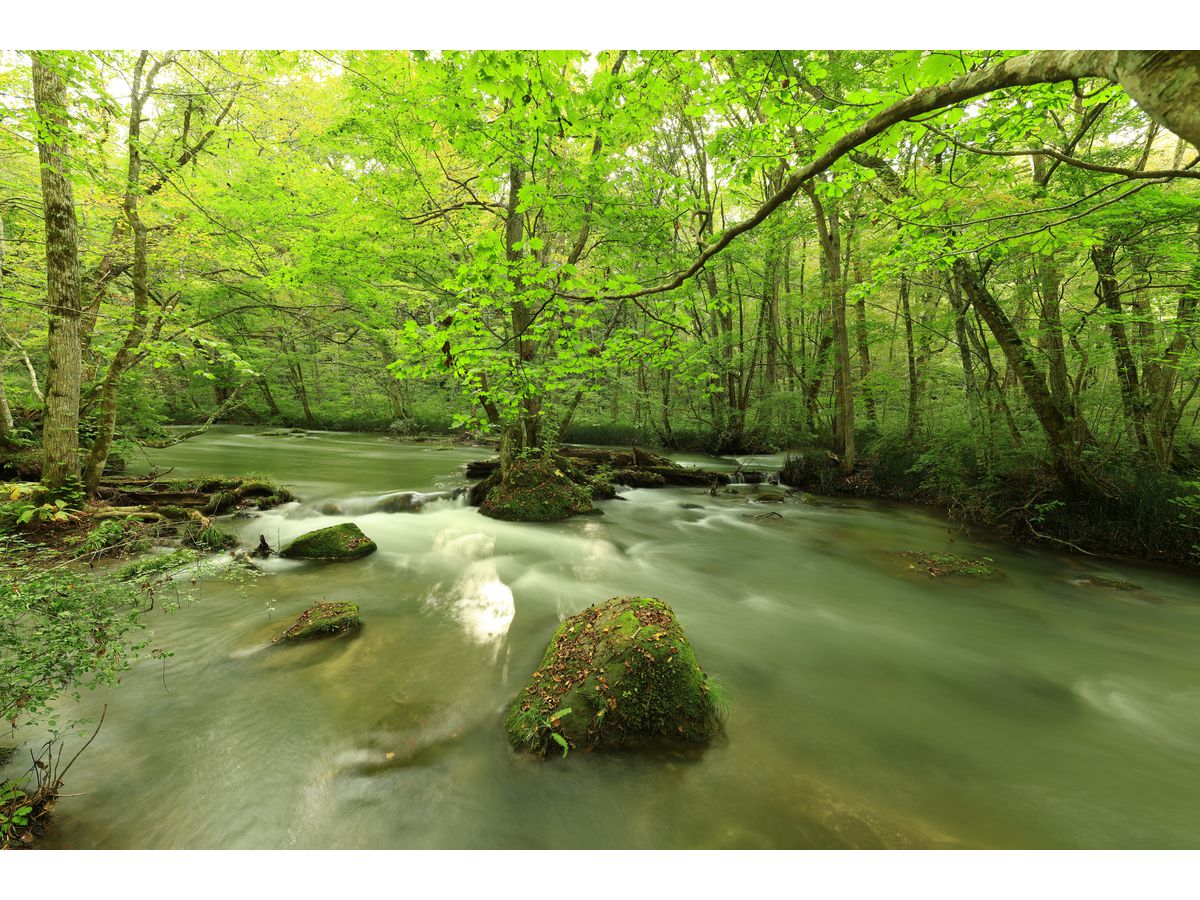 Canon RF 14mm F1.4L VCM