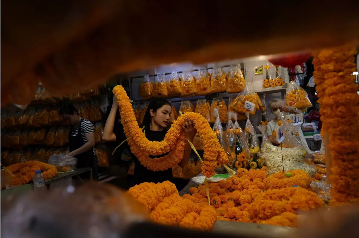 Canon RF 20mm F1.4 L VCM