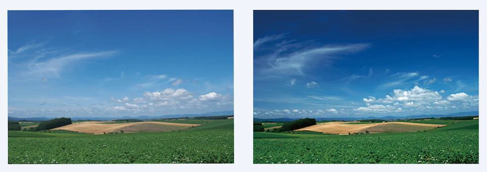 Sony VF-82CPAM Polfilter 82 mm