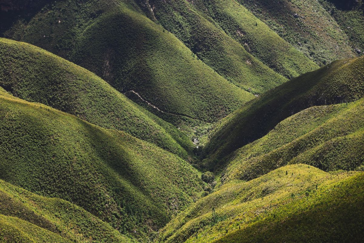 Canon EOS RP + RF 24-105mm f4-7.1 IS STM