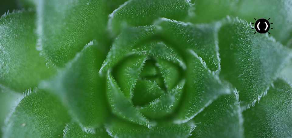 Canon EF-M 28mm f/3.5 IS STM Makro