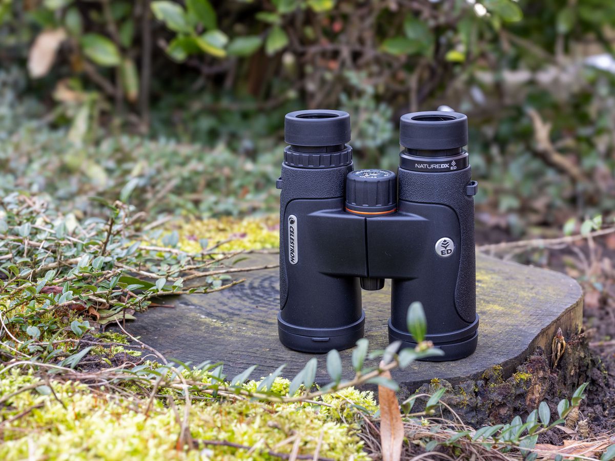Celestron Nature DX 10x42 ED