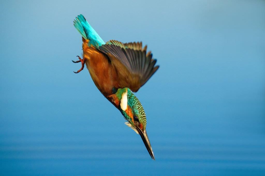 Sony E-Mount FF 70-200mm GM II F2.8 OSS