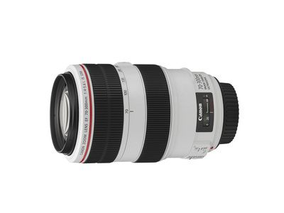 Canon EF 70-300mm f/4-5.6L IS USM
