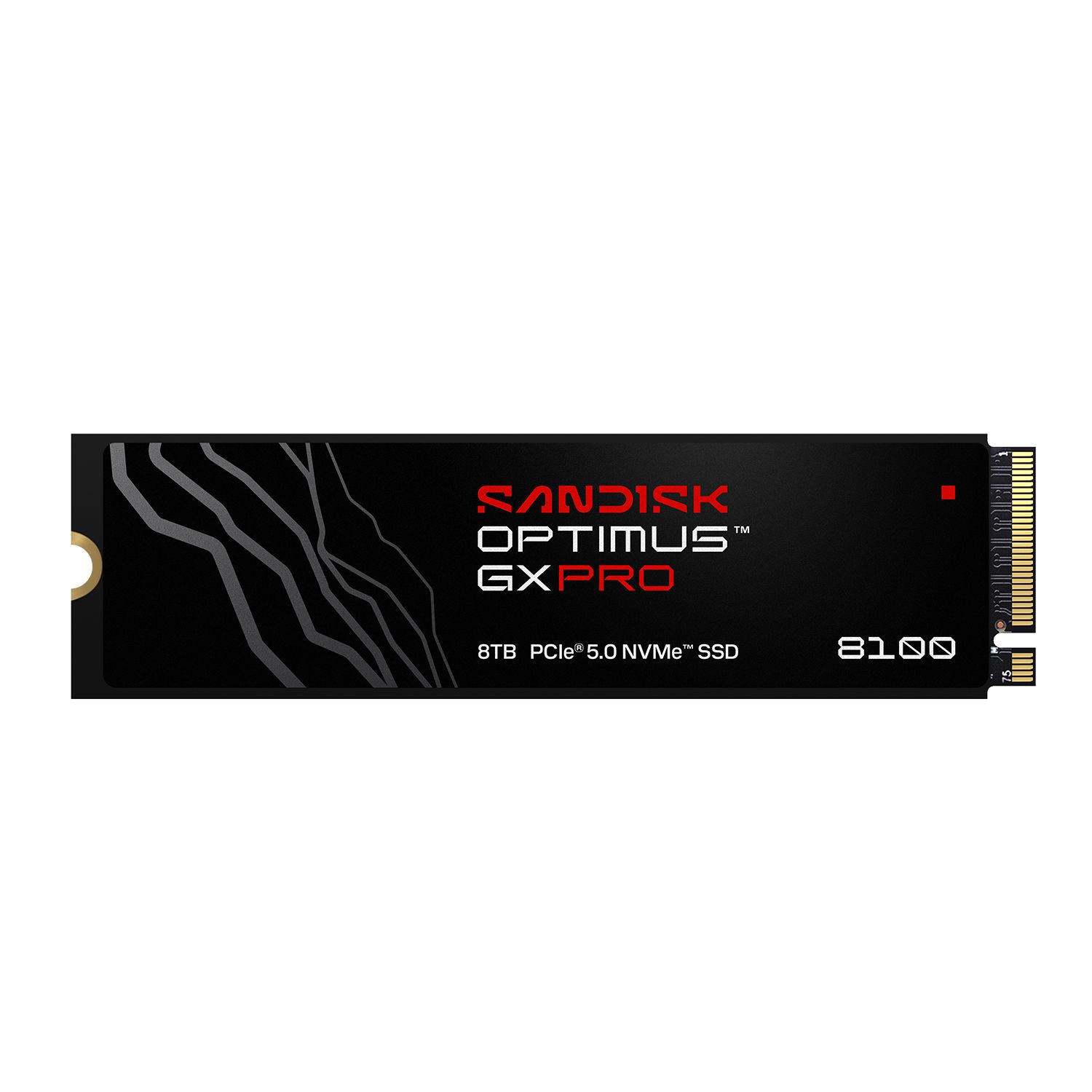 SANDISK Optimus GX PRO 8100 SSD 1TB