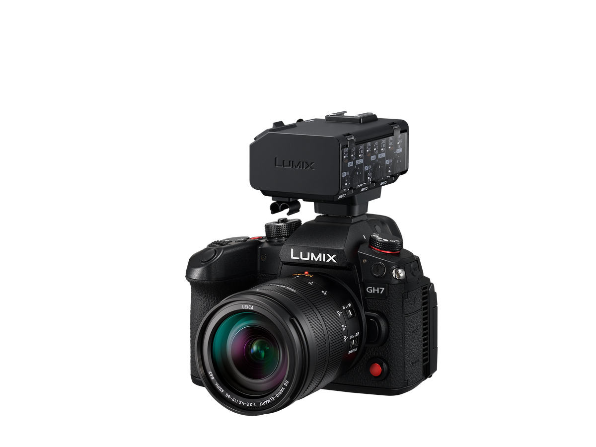 Panasonic DMW-XLR2E Video Interface