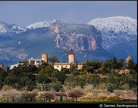 Panasonic Leica DG 50-200mm F2.8-4.0 OIS