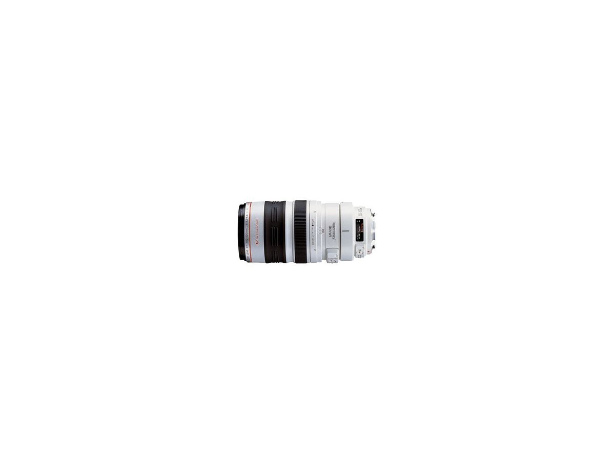 Canon EF 100-400mm 4.5-5.6 L IS USM
