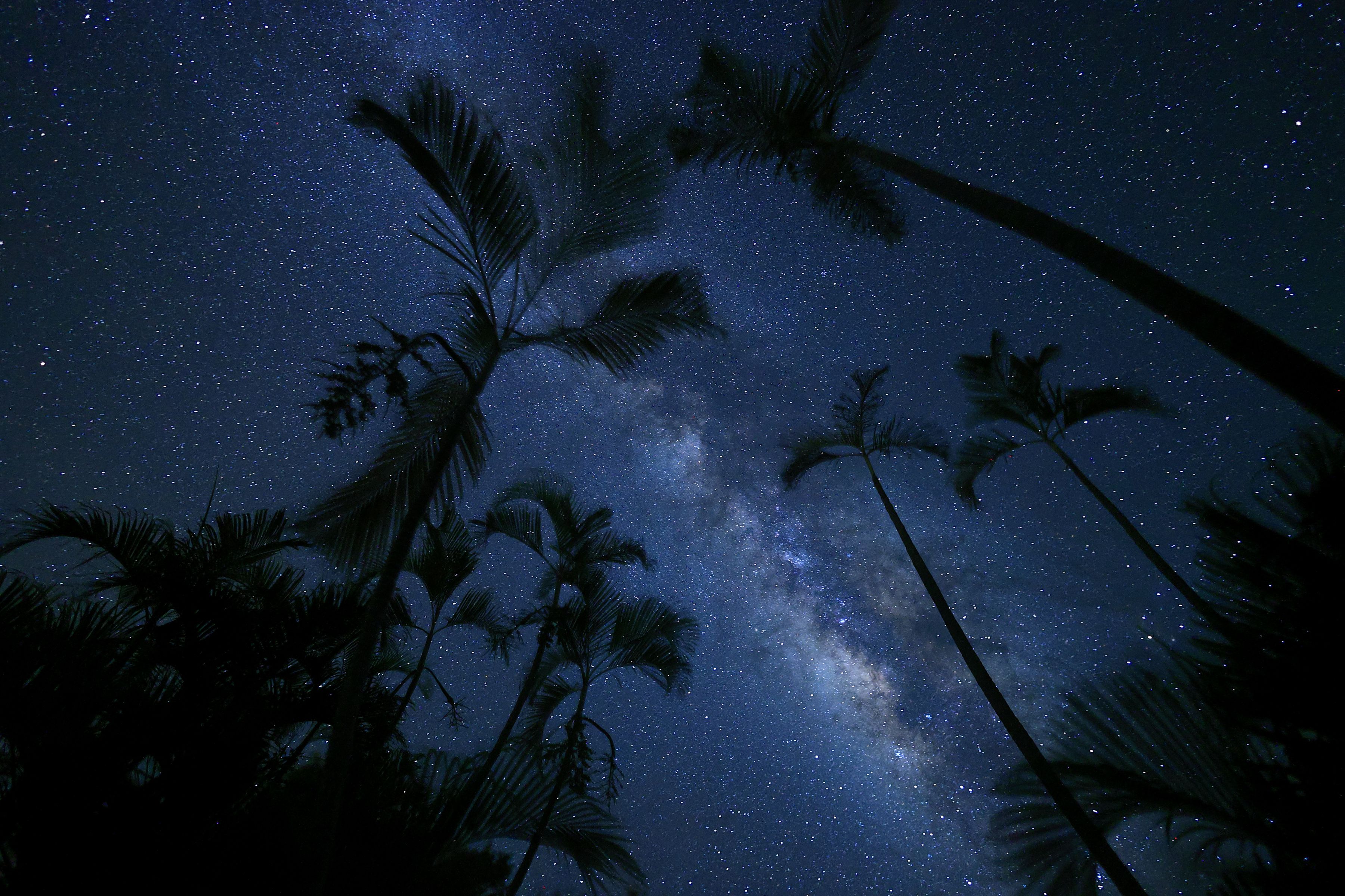 Canon RF 16mm F2.8 STM