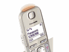 Panasonic KX-TGE250SLN DECT Telefon