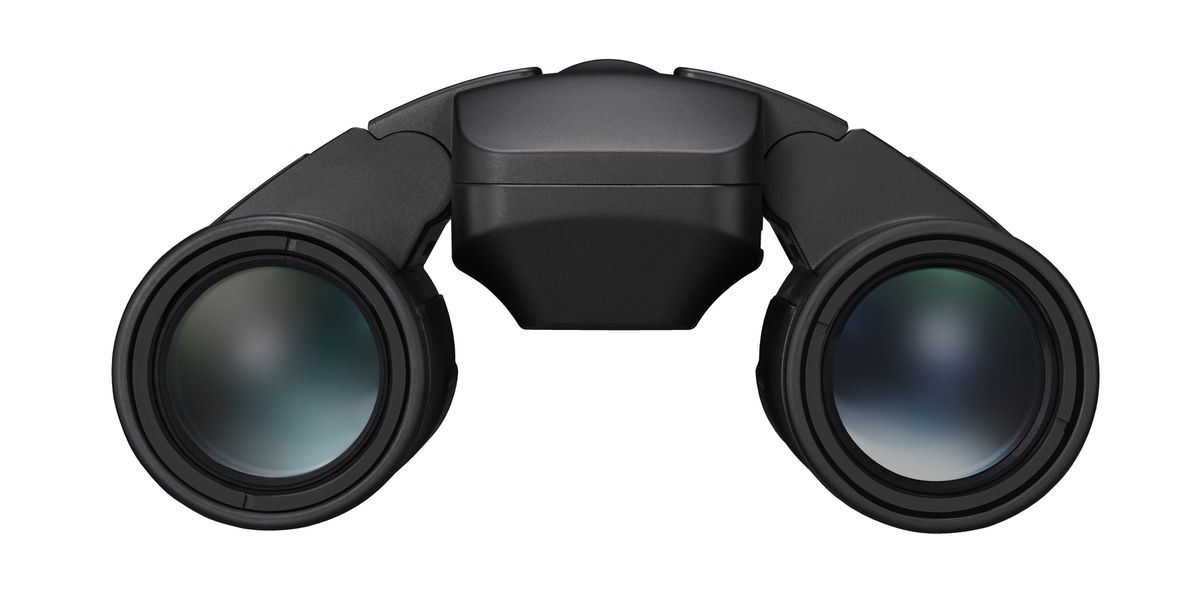 Nikon Fernglas Stabilized 10x25 S