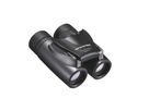 OM System 10x21 RC II Dunkelsilber