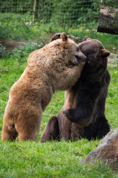 Pentax smc DA 50-200mm/4-5,6 ED WR