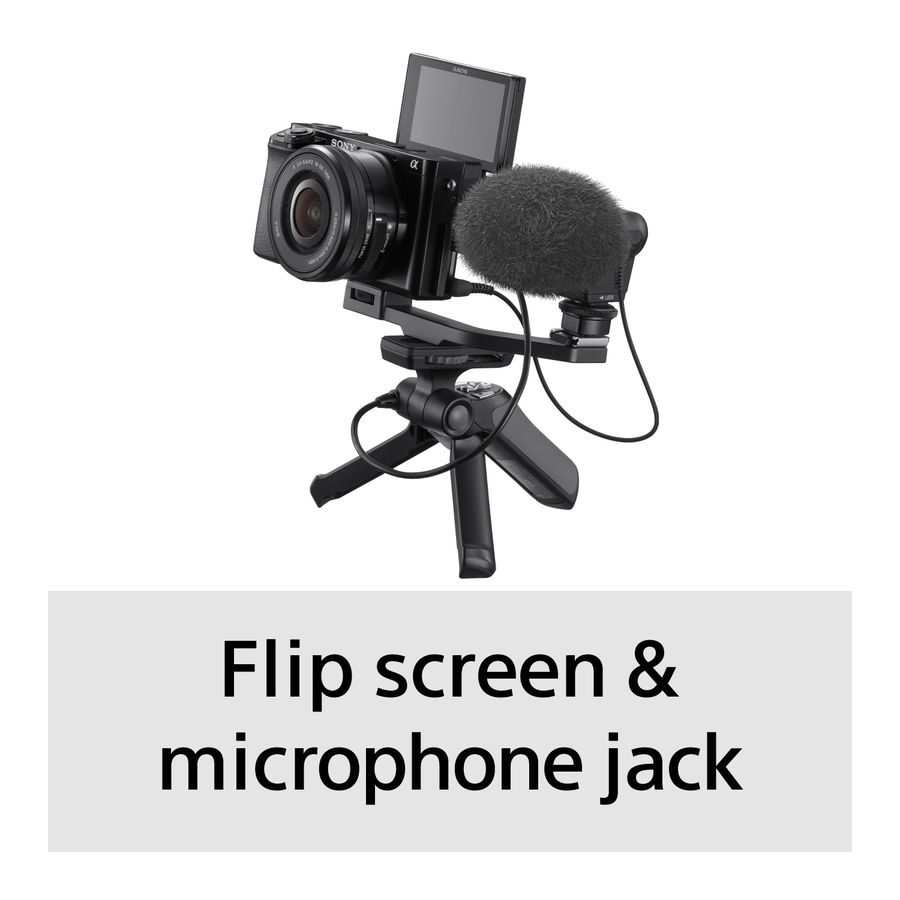 Sony Alpha 6100 Body black