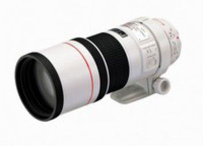 Canon EF 300mm 4.0L IS USM