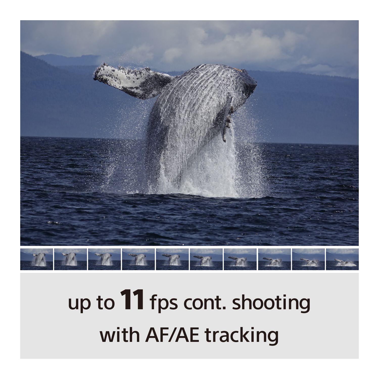 Sony Alpha 6100 Body black