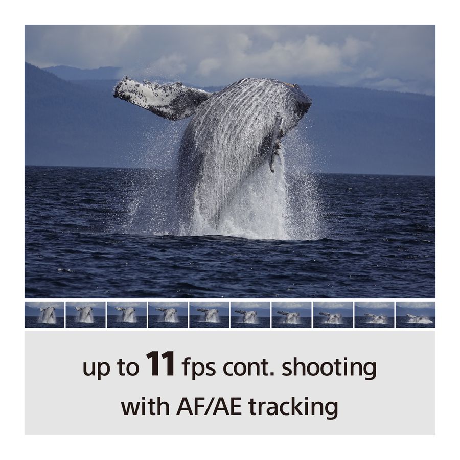 Sony Alpha 6100 Body black