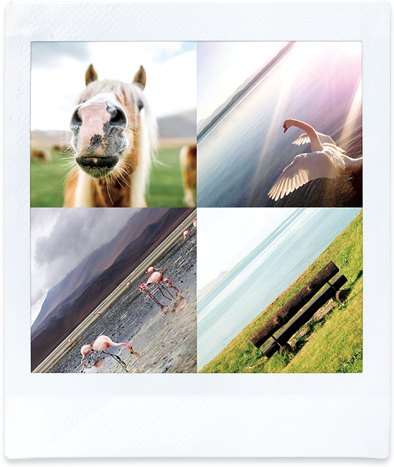 Fujifilm Instax Share SP-3 Black