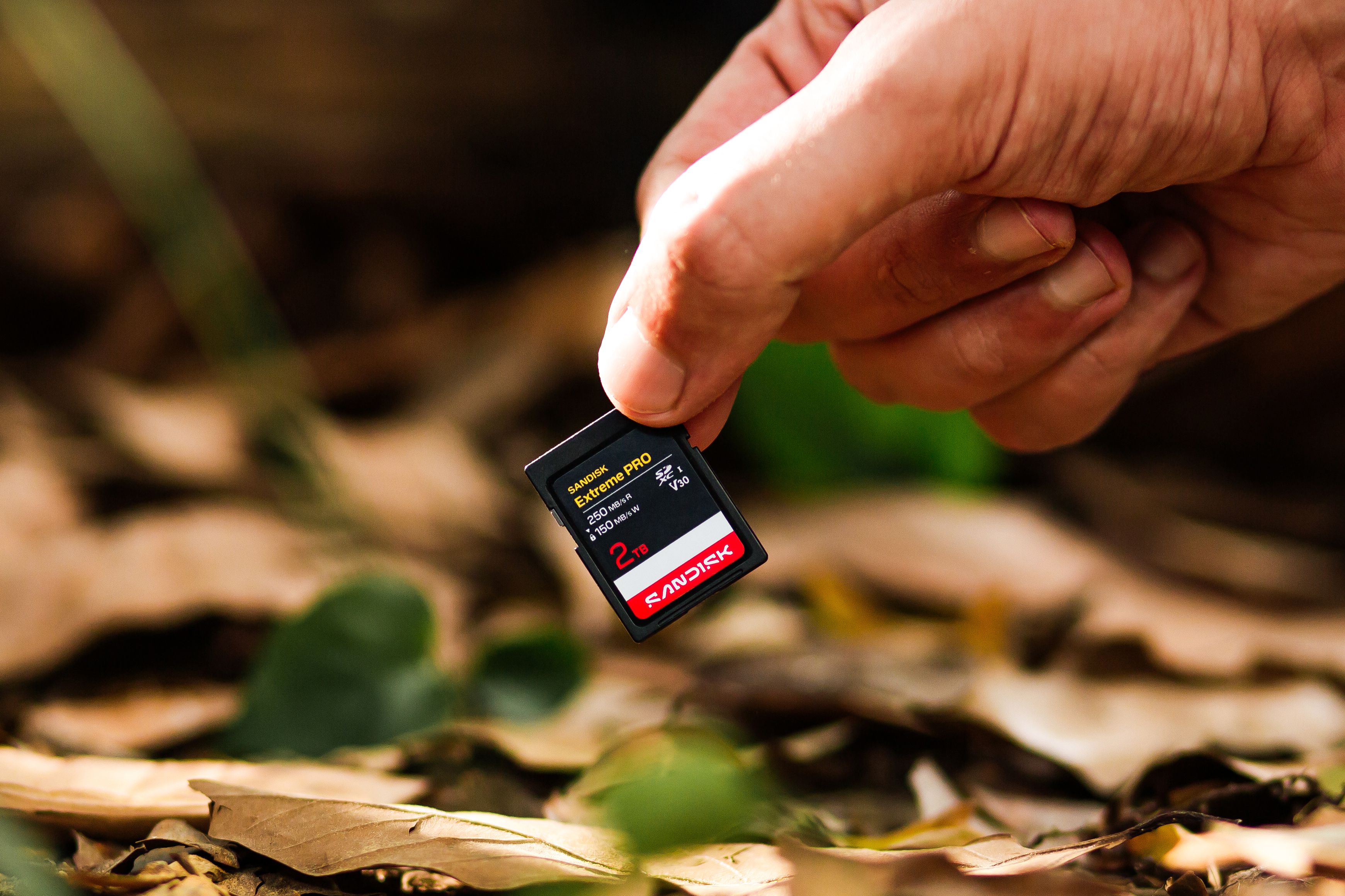 SANDISK Extreme PRO 250MB/s SDXC 256GB