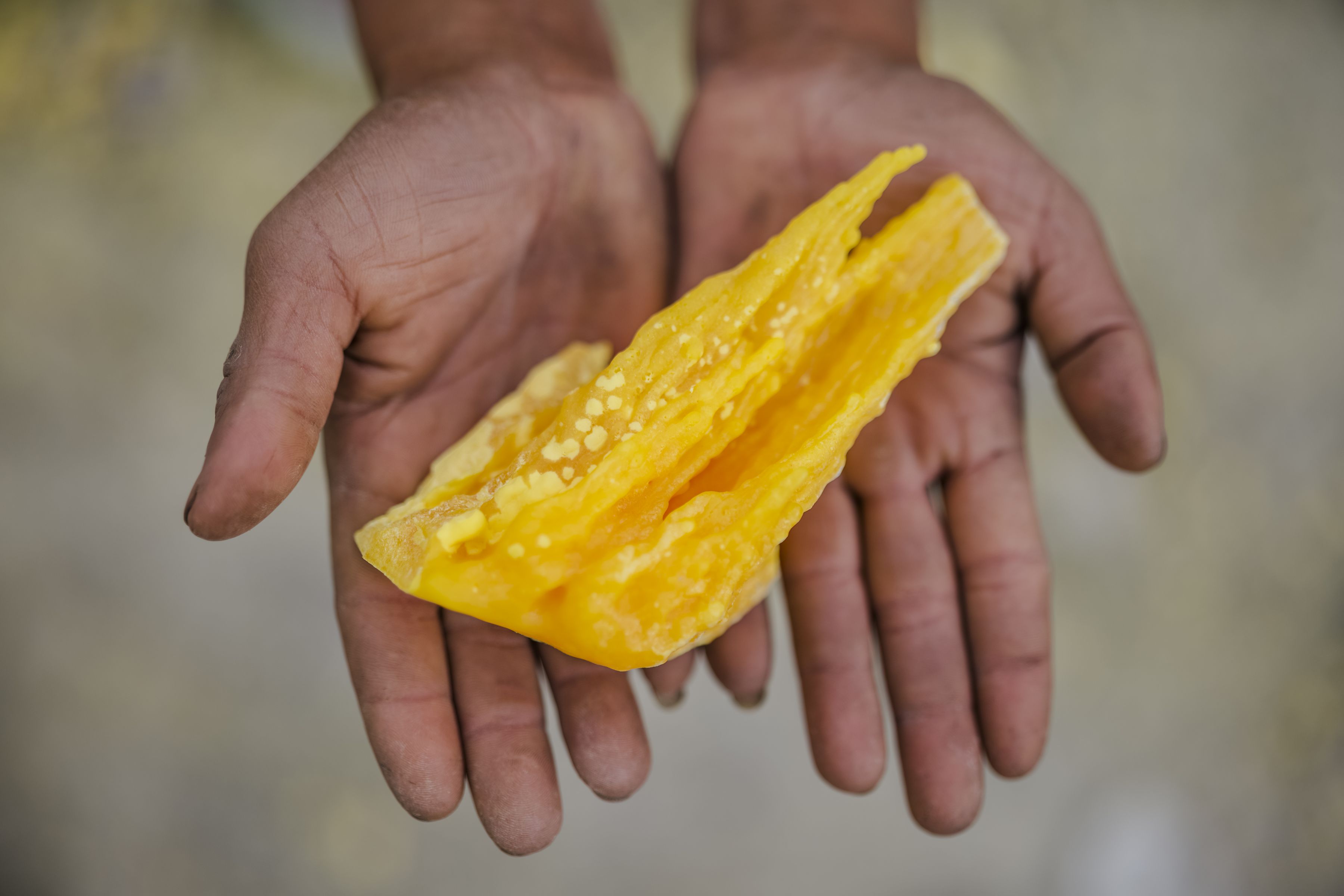 Panasonic Lumix S PRO 50mm F1.4