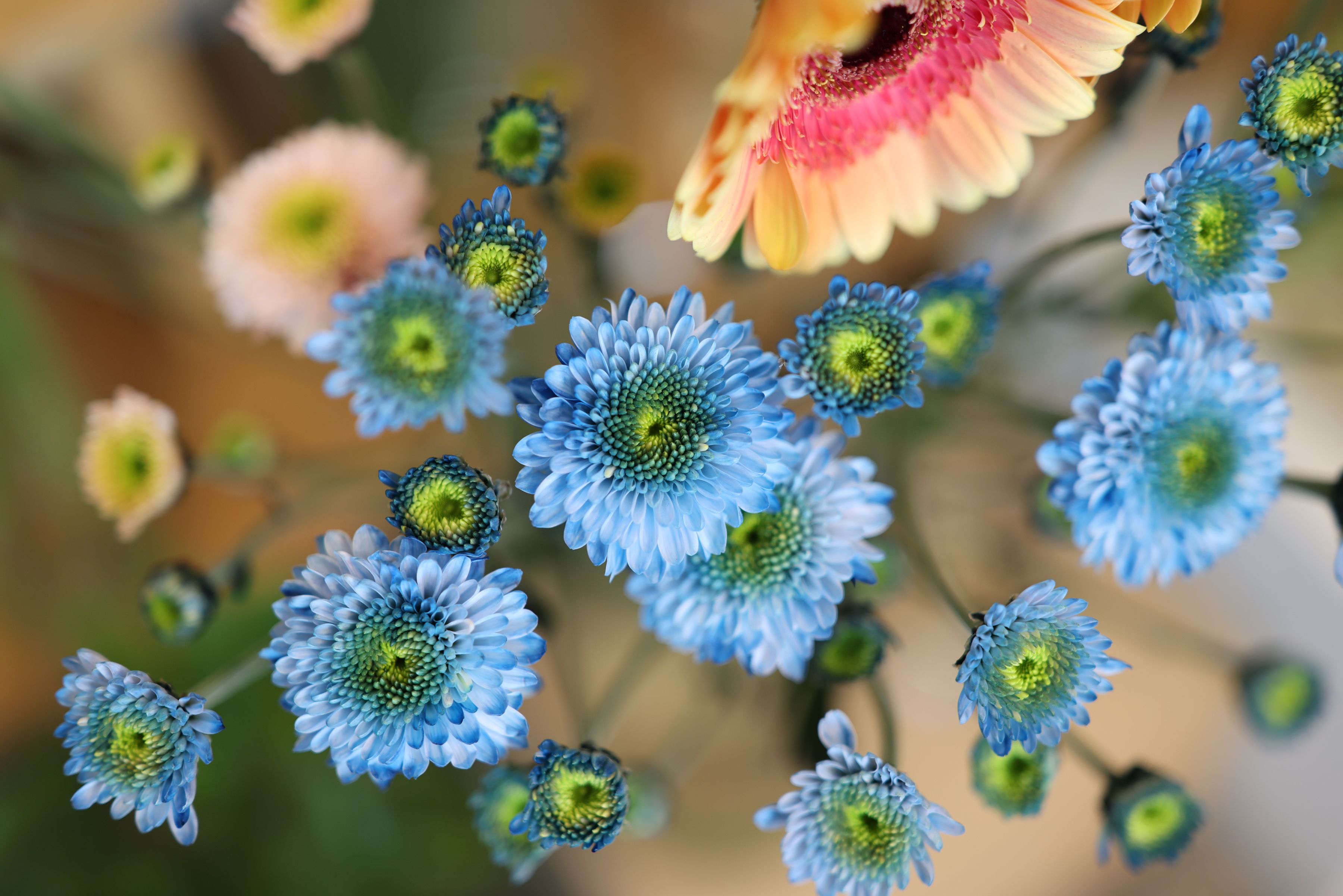 Canon RF 50mm F1.4L VCM