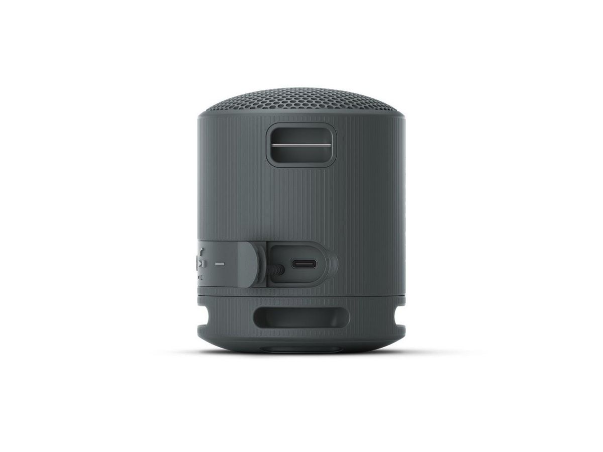 Sony SRS-XB100 Speaker Black